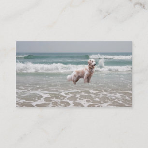 Golden retriever sur le carte de visite d'éleveur