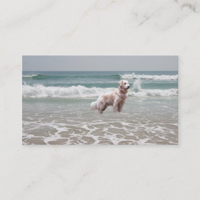 Golden retriever sur le carte de visite d'éleveur (Devant)