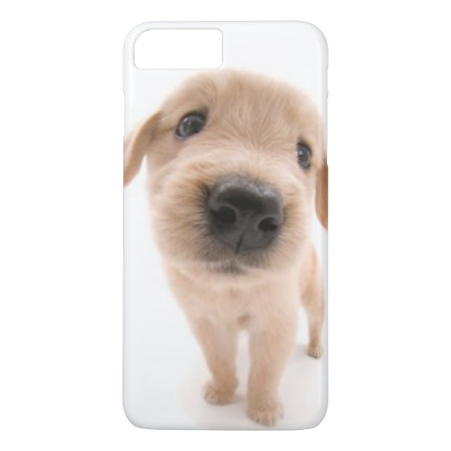 Golden retriever-Telefon-Kasten Case-Mate iPhone Hülle (Rückseite)