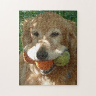 Golden Retriever & Tennisbälle Puzzle
