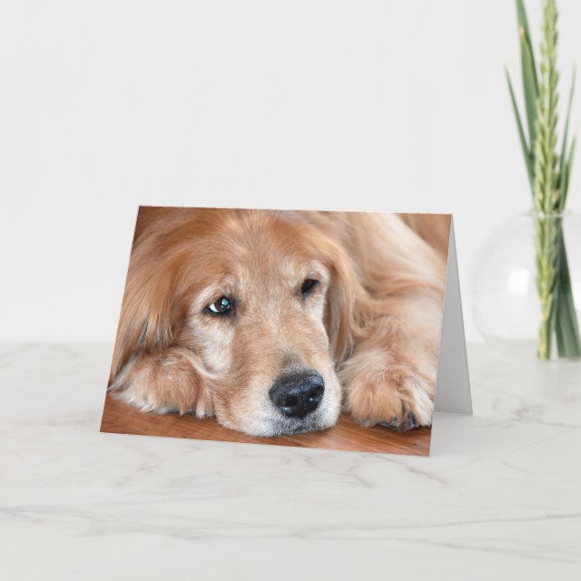 Golden Retriever-Thinking of you Karte (Vorderseite)