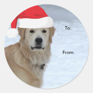 Golden Retriever to/from Christmas Aufkleber