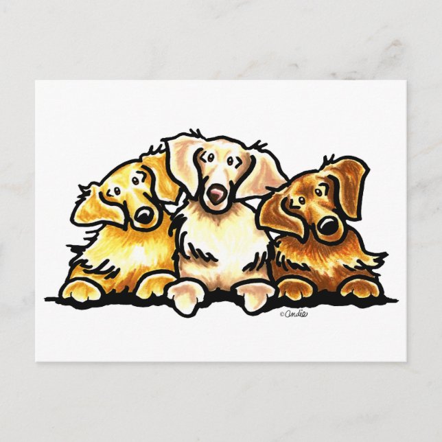 Golden Retriever Trio Postkarte (Vorderseite)