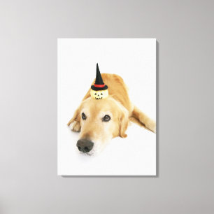 Golden retriever und Verzierung Leinwanddruck