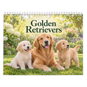 Golden Retriever und Welpen Kalender