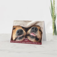 Golden Retriever Undercover Agents Carte d'anniver