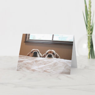 Golden Retriever Up Pourtant la carte de la fête d