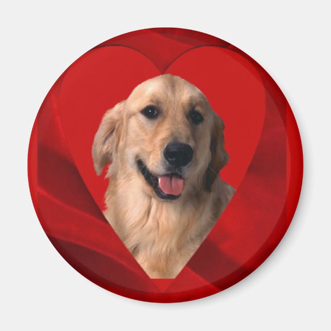 Golden Retriever Valentine Magnet (Vorne)