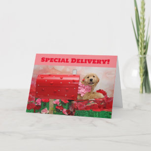 Golden Retriever Valentine Mailbox Feiertagskarte