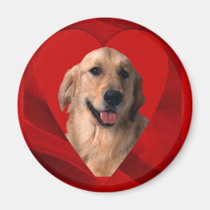 Golden Retriever Valentinstag Magnet