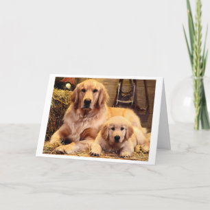 Golden Retriever Vatertagskarte Karte