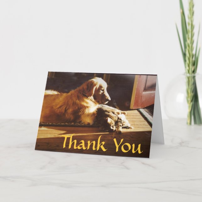 Golden Retriever Vielen Dank Card Cat Best Friends Dankeskarte (Vorderseite)