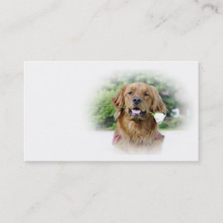 Golden retriever-Visitenkarte Visitenkarte