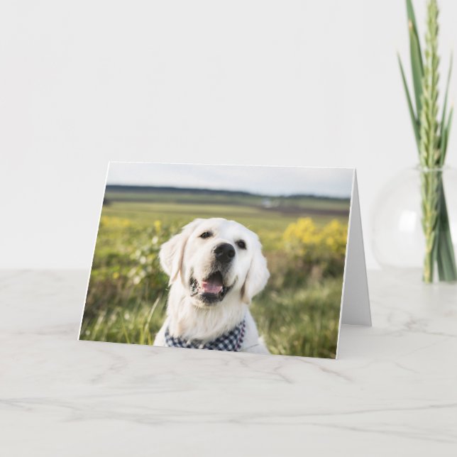 Golden Retriever "Vous me faites sourire" Carte de (Devant)