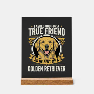 Golden Retriever Vrai Ami Chien