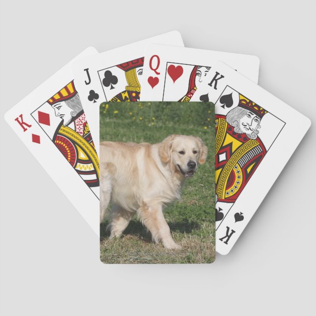 Golden Retriever Walking Spielkarten (Rückseite)