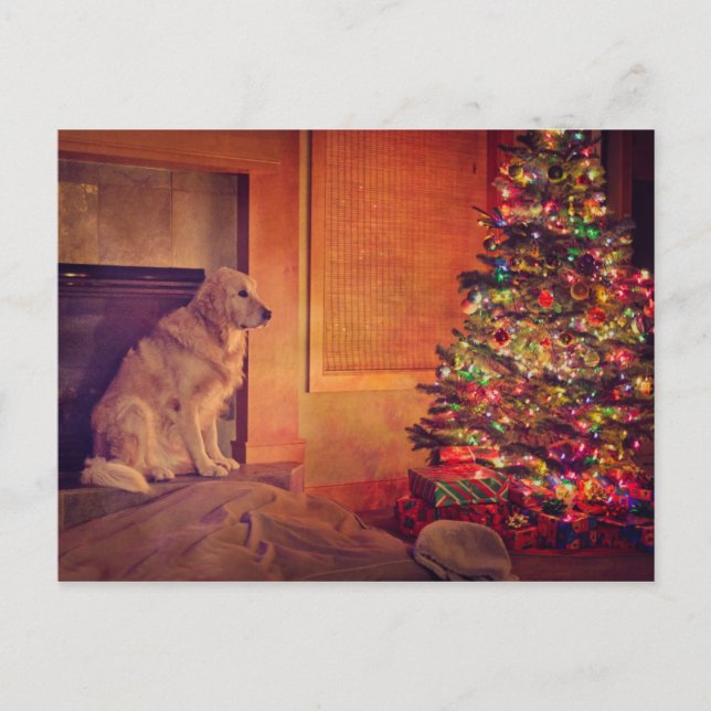 Golden Retriever wartet mit Kamin Postkarte (Vorderseite)