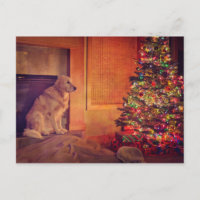 Golden Retriever wartet mit Kamin
