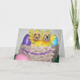 Golden Retriever Was ist Hatchin' Osterfeier Karte