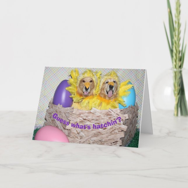 Golden Retriever Was ist Hatchin' Osterfeier Karte (Vorderseite)