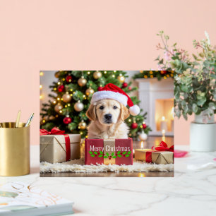 Golden Retriever Weihnachten Acrylschild