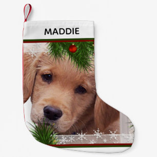 Golden Retriever Weihnachten - Niedlich Hundewelpe Kleiner Weihnachtsstrumpf