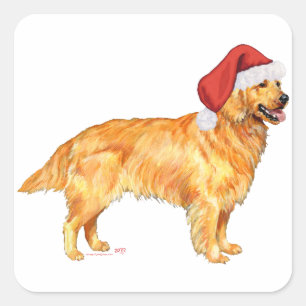 Golden Retriever Weihnachten Quadratischer Aufkleber