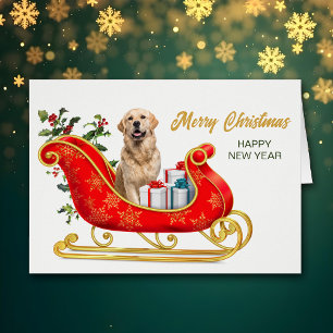 Golden Retriever Weihnachts-Schlittelkarte