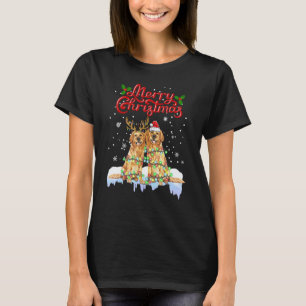 Golden Retriever Weihnachtsbeleuchtung passende Fa T-Shirt