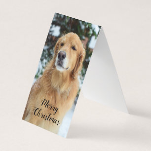 Golden Retriever Weihnachtskarte