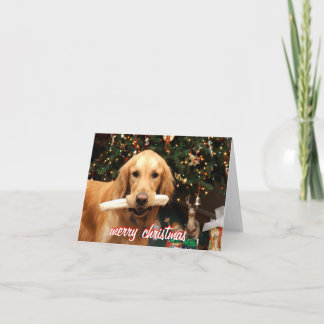Golden retriever-Weihnachtskarte Feiertagskarte