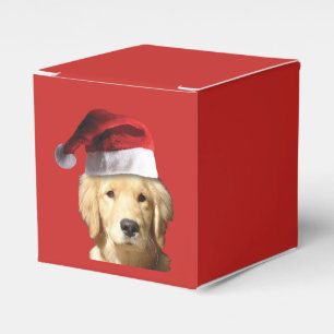 Golden retriever Weihnachtsmann Geschenkschachtel