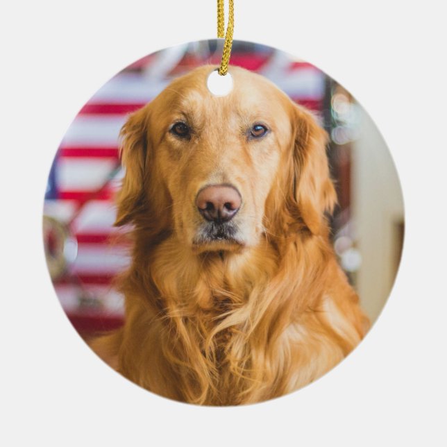 Golden Retriever Weihnachtsschmuck Add Your Foto (Vorne)