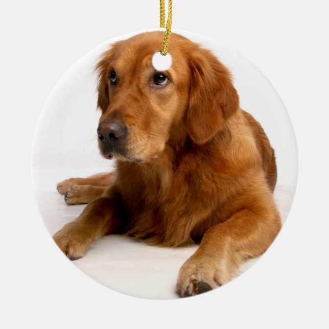 Golden Retriever Weihnachtsschmuck mit Foto (Vorne)