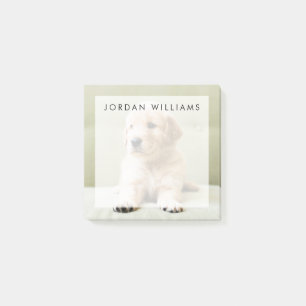 Golden Retriever Welpe auf Couch Post-it Klebezettel