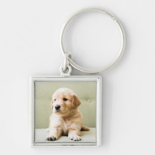 Golden Retriever Welpe auf Couch Schlüsselanhänger
