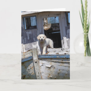 Golden retriever-Welpe auf einem verlassenen Karte