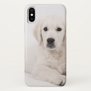 Golden retriever-Welpe iPhone X Hülle