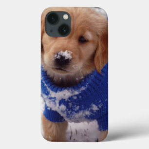 Golden retriever-Welpe title_seo2