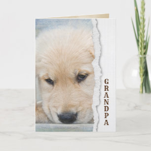 Golden Retriever Welpe des Vaters für Opa Karte