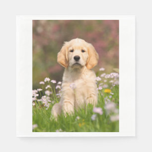 Golden Retriever Welpe ein niedlicher Goldie Serviette