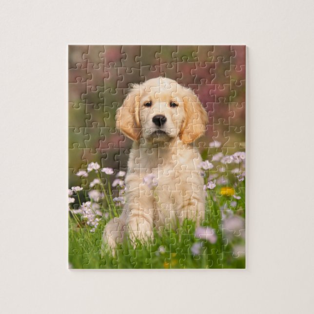 Golden Retriever Welpe eine niedliche Goldie (Vertikal)