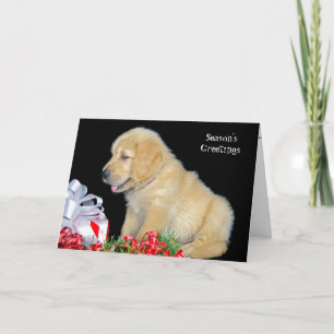 Golden Retriever Welpe Feiertagskarte