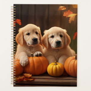 Golden Retriever Welpe Herbstfreude Kürbis Planer