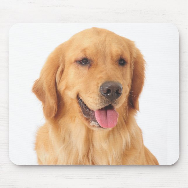 Golden Retriever Welpe Hund Liebe Mousepad (Vorne)