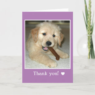 Golden Retriever Welpe Hund mit Knochen Vielen Dan Dankeskarte