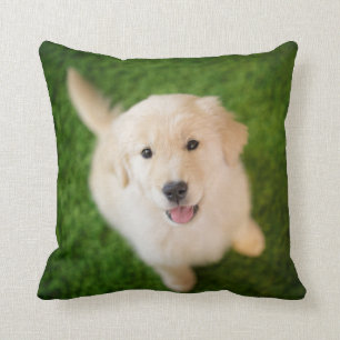 Golden Retriever Welpe im Gras Kissen