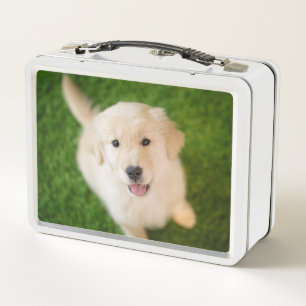 Golden Retriever Welpe im Gras Metall Brotdose