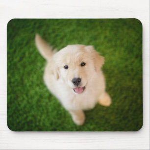 Golden Retriever Welpe im Gras Mousepad