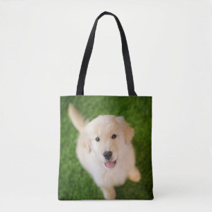 Golden Retriever Welpe im Gras Tasche